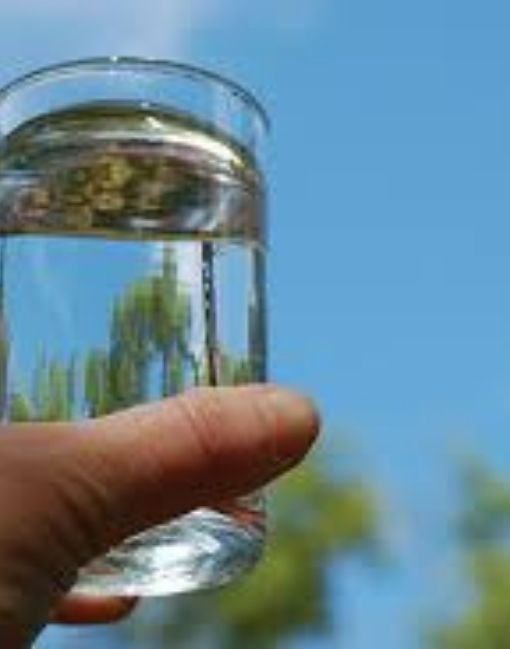 gaio-nuoc-tinh-khiet-chua-quynh giao nước tinh khiết phố nguyễn khoái